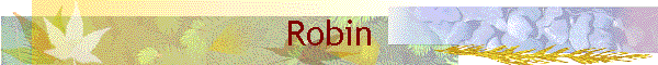 Robin