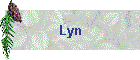 Lyn