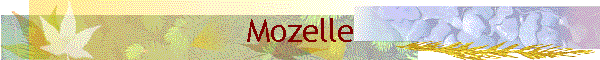 Mozelle