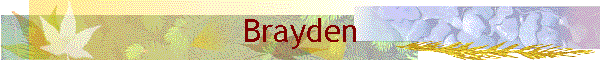 Brayden