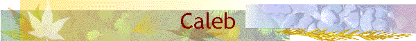 Caleb